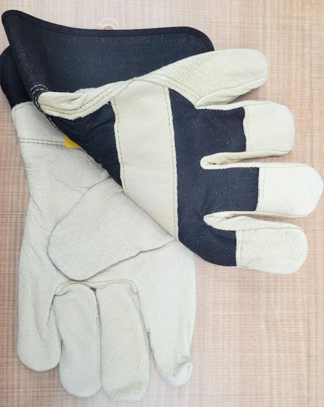 Where to find WORK GLOVE, PIGSKIN LTH PLM, XL in Cleveland