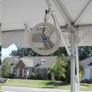 Where to find TENT FAN, 12 WHITE in Cleveland